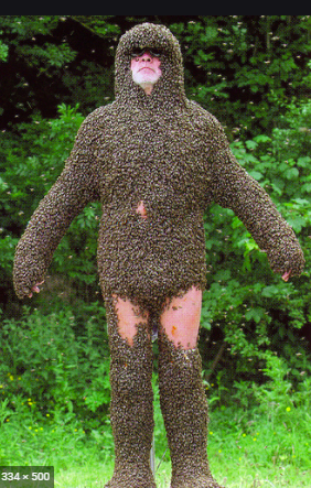 bee suit